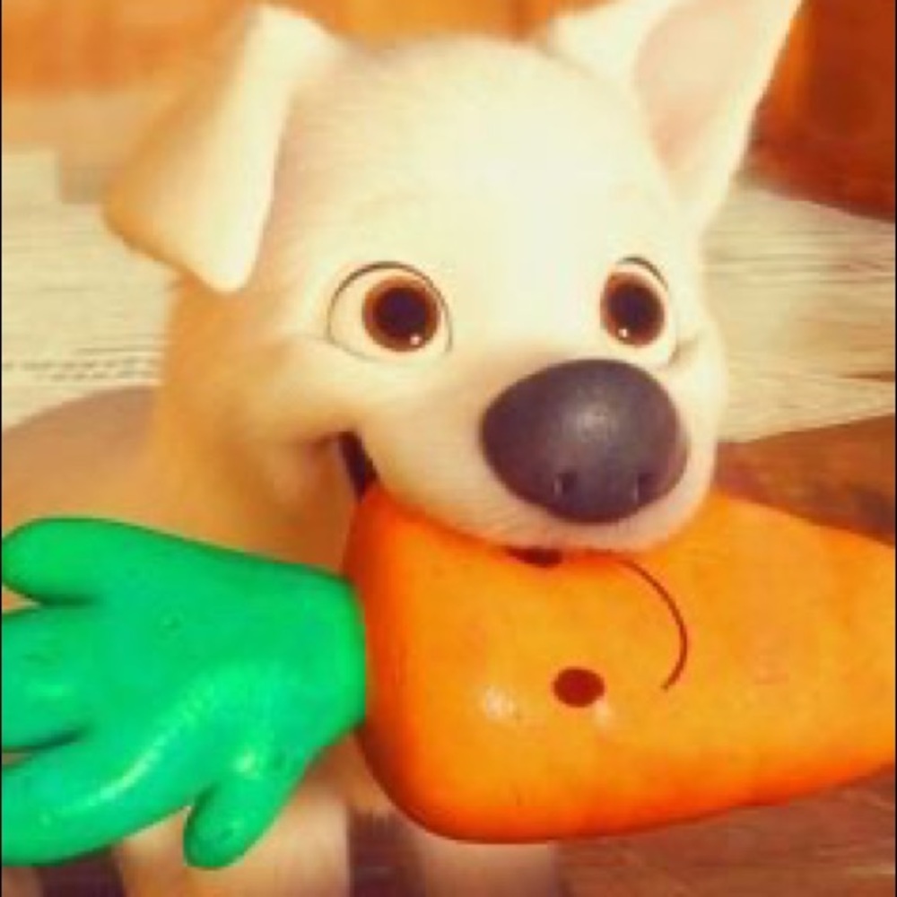 Meet your Posher, Jenna